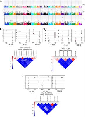 What makes a giant fruit? Assembling a genomic toolkit underlying various fruit traits of the mammoth group of Cucurbita maxima